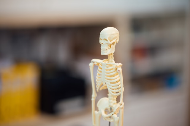 How Bone Adjustment in Singapore Helps With Daily Body Pains